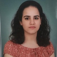 Merve Nur Damar
