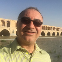 ali motamedi