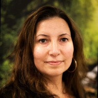 Zerrin Kiris