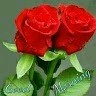 Sandeep Kumar