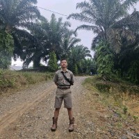 Ferycrystint Perangin Angin