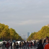 Anna Spezzacatena