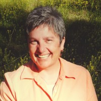 Stacy Todd