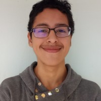 Fabián Andrés Flores Alvarado