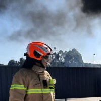 David G. Thewlis Gifiree Firetech