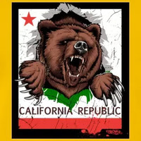 California Guardian