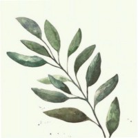 فاطمه .
