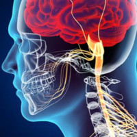 Journal Of Neurology Neurophysiology