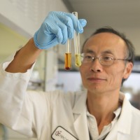 Liming Huang