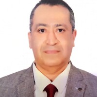 Prof. Dr. Hassan Fares