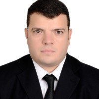Mahmoud Abouelseoud