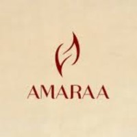 Amaraa By Shanaya Chhugani