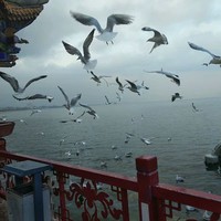 夏成同