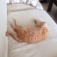 赵亮达
