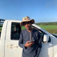 Sanele Singwayo