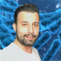 Georgios Stamoulis,Phd