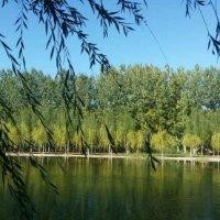 聂德辉