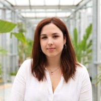 Dorottya Farkas