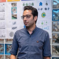 Ahmed Saeed