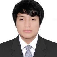 Newton Elmer Lincoln Guarniz Cruz