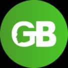 Geekers Brain