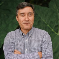 Javier Chica Pelaez