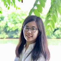 Lin Meng