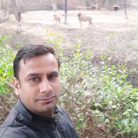 Ankit Tiwari