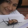 Alba Arcos