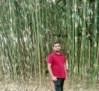 Sabuj Zaman