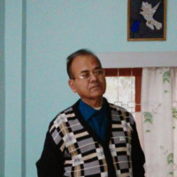 M. Mazumdar
