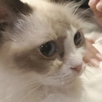 徐家宝