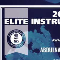 Abdulnasser S
