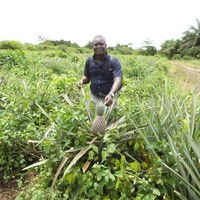 Musa Tholley