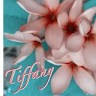 Tiffany Isaacks