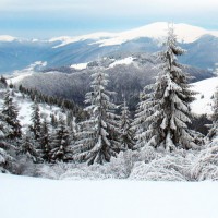 Евгений Асанович