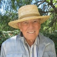 Jules Pollack