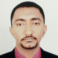 Mohamed Elshafie