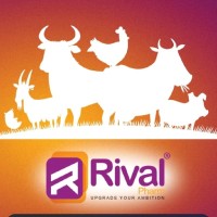 Rival Pharm