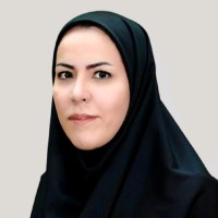 Maryam Ahmadi