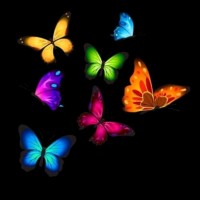 Narkeesh Banu.H