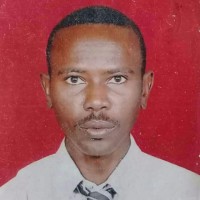 Abdelmagid Hamid Ahmed