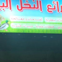 مشعل القثامي