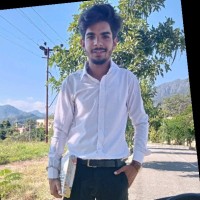 Kartik Meena