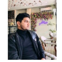 Syed Hamza Daim