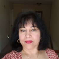 Shaeen Mehmood