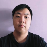 Chen Wei Choo