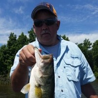 Tad Timmons