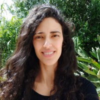 Lior Segal