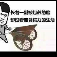 陈建木
